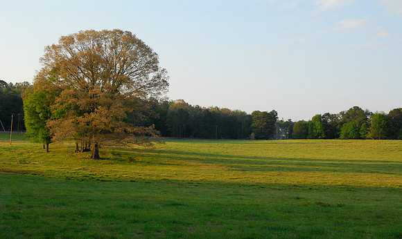 J3872x2592-20824
