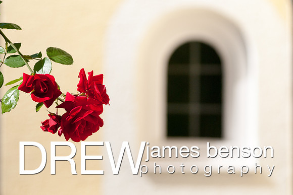 _DJB1831