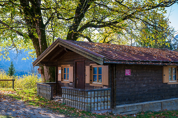 _DJB9453
