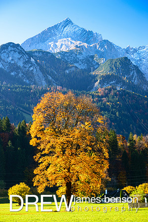 Fall scenery