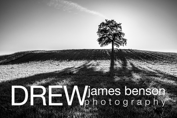_DJB8135