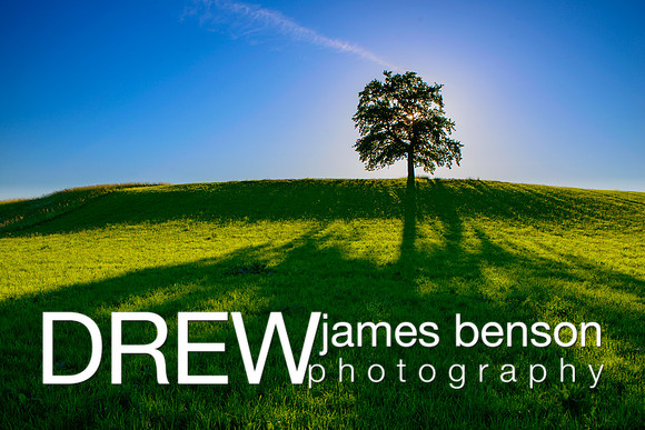 _DJB8135-2