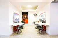 Haarlekin Staff & Location