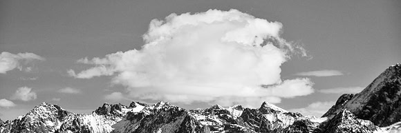 DJB_7139