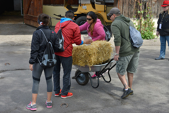 Amazing Race 2015