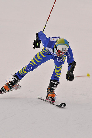 FIS Telemark World Cup