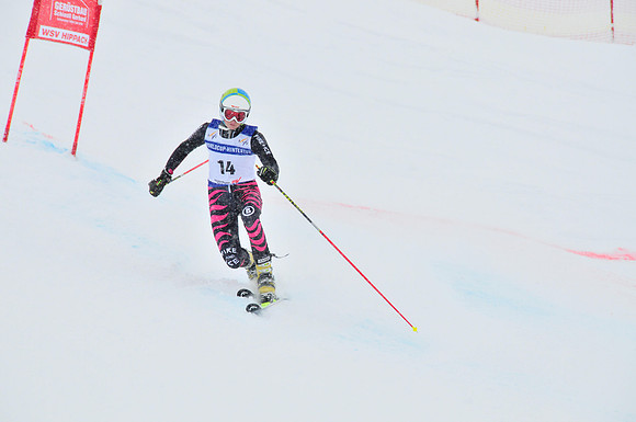 FIS Telemark World Cup