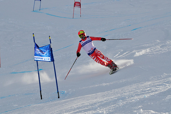 FIS Telemark World Cup