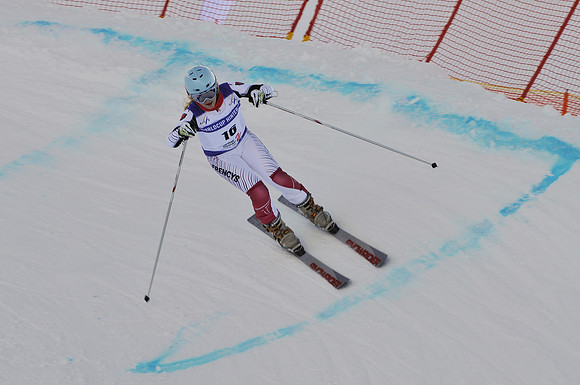FIS Telemark World Cup