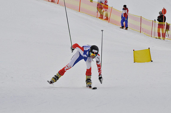FIS Telemark World Cup